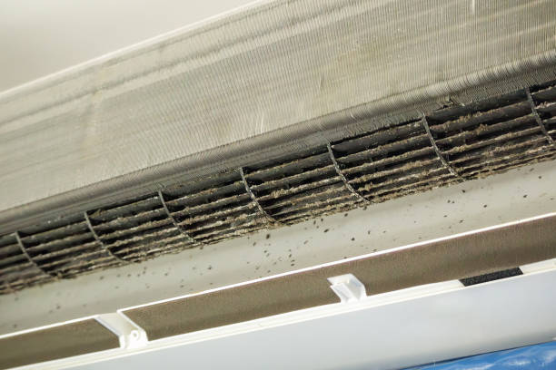 Best Air Duct Cleaning Near Me  in Destin, FL